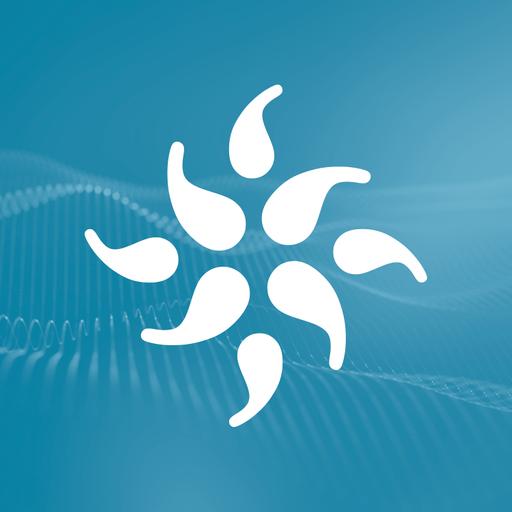 438 Visionary Chinese Medicine Ophthalmology • Marc Grossman