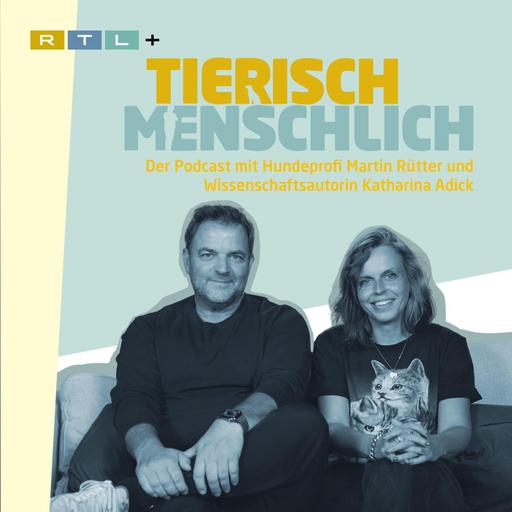 237 - Der Pudelschreck von Italien