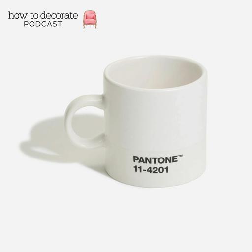 Bonus Episode: Our Thoughts on Pantone's 2026 Color of the Year