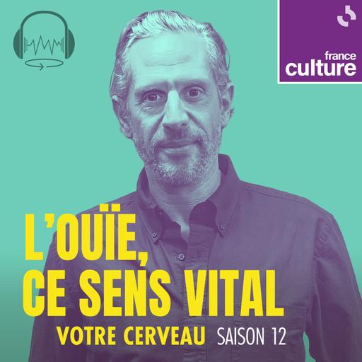 L'ouïe, ce sens vital 3/6 : Entendre pour agir