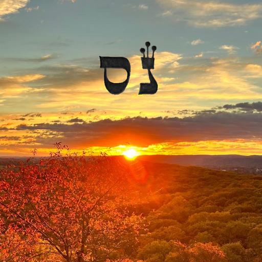 99. Neis: A Meditation of Miracles