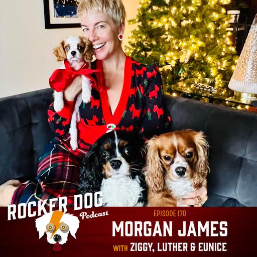 Morgan James - Solo Artist