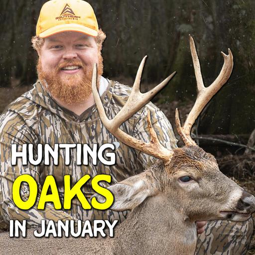 755 - How Jacob Tagged an Alabama Public Land SWAMP BUCK!