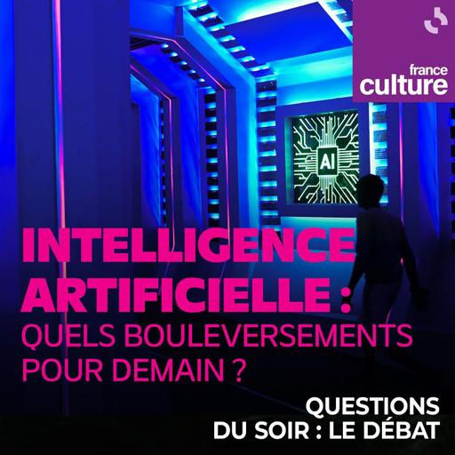 Intelligence artificielle : quels bouleversements pour demain ? : L'IA rendra-t-elle un jour la justice ?