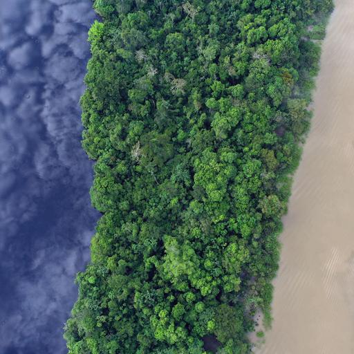 Carina Hoorn on the Evolution of the Amazon Basin