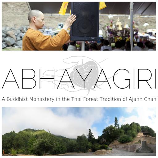 Mindfulness and the Three Characteristics