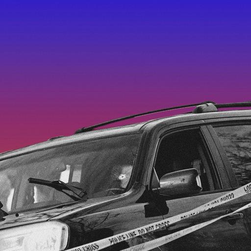 What Next | Daily News and Analysis - Everyone Saw ICE Kill Renee Good