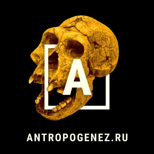 Никитин: Мог ли "Боинг-747" возникнуть случайно? Ученые против мифов: классика [7-4]
