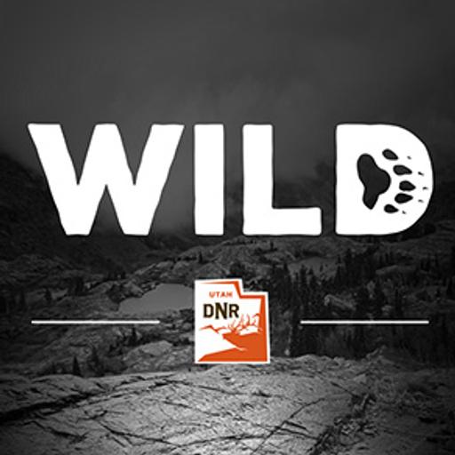 Episode 75: Wildlife gone wild