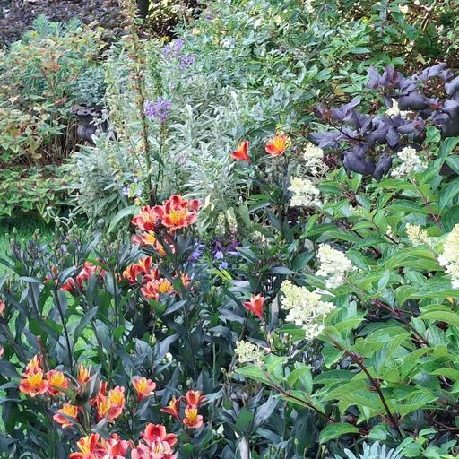 What Experienced Gardeners Wish They'd Known Sooner With David Stevens