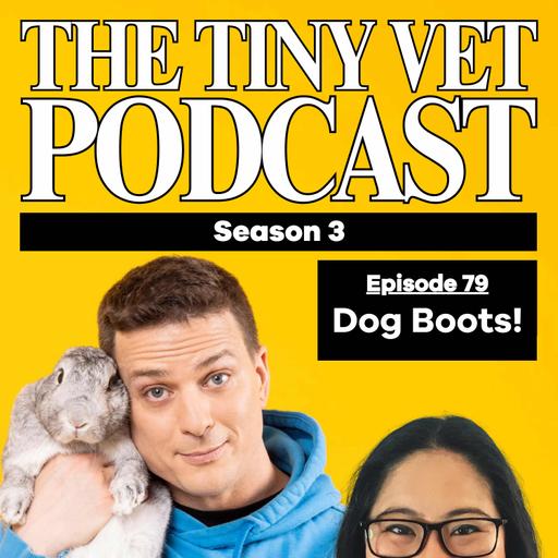 79: Dog Boots!