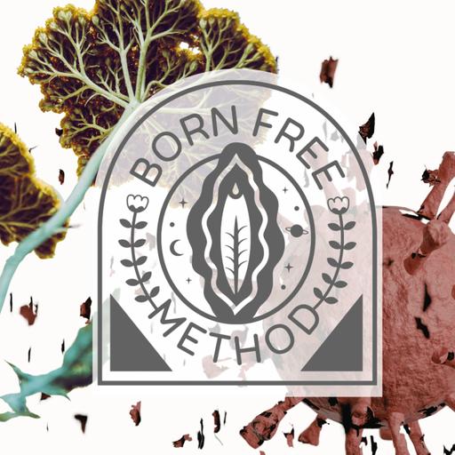 Of Yarrow and Men: the Seasonal Alchemy of Human Decay