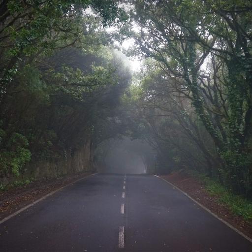 Navigating uncertainty