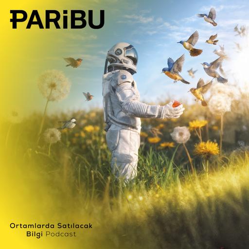 Kuşların Hayatından 12 Hayat Dersi