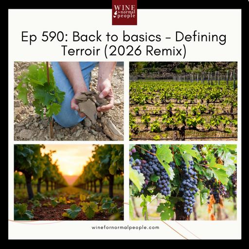 Ep 590: Back to Basics - Defining Terroir (2026 Remix)