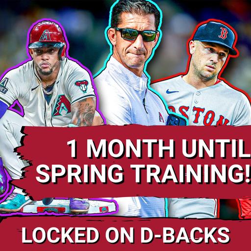 WHAT'S GOING ON WITH THE ARIZONA DIAMONDBACKS!?