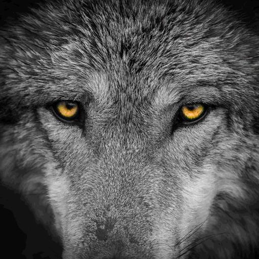 Ein Dorf schweigt - Die Wolfshaut (1/2)