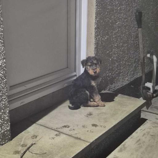 LouiseyVent 2025 Day 19