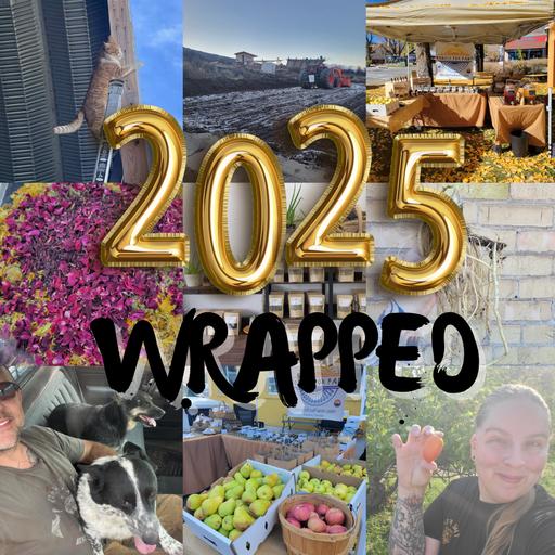 Ep 66 - 2025 Wrapped