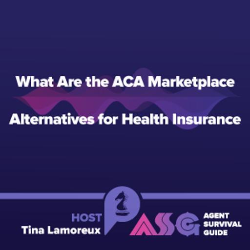 What Are the ACA Marketplace Alternatives for Health Insurance?