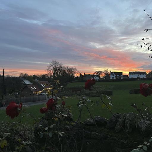 Sound Escape 254. Wake up to gentle birdsong in a sleepy village