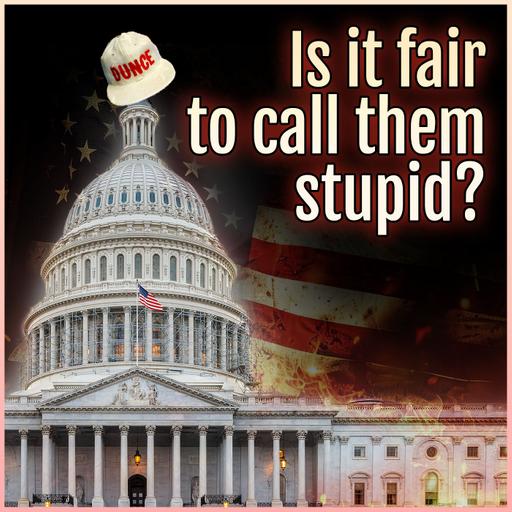 Is it fair to call them stupid?