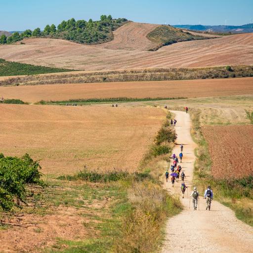 The Bittersweet Past: Walking the Camino de Santiago (with Aarin Wright)