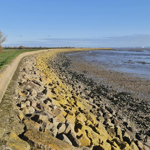 Sound Escape 252. Enjoy sunshine and peace along the seawall of the Bristol Channel