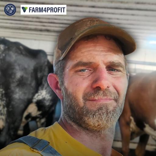 Doing It Wrong on Purpose: Old-School Dairy Farming