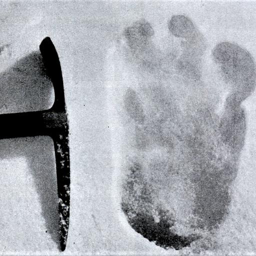 Himalayan Buddhism and the Last Yeti on Earth
