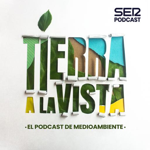 Episodio 21 | La tecnología no nos salvará