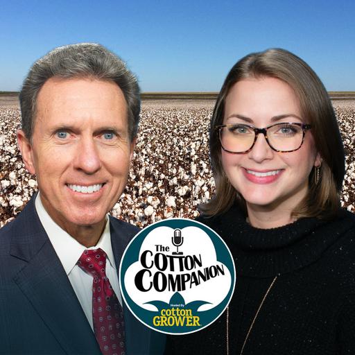 What USDA’s $12 Billion Relief Package Means for Cotton