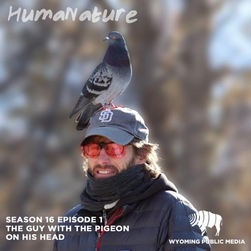 The Guy With The Pigeon On His Head