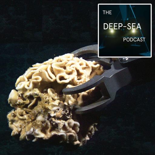 Giant Testate Protists with Professor Andrew Gooday