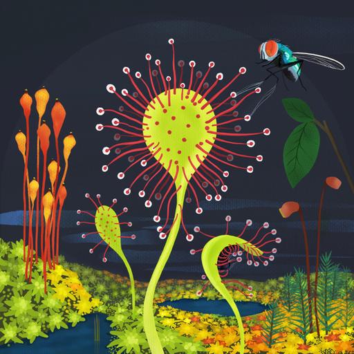 FE6.8 - For Peat's Sake