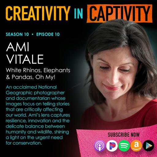 AMI VITALE: White Rhinos, Elephants & Pandas, Oh My!