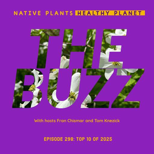The Buzz - Top 10 of 2025