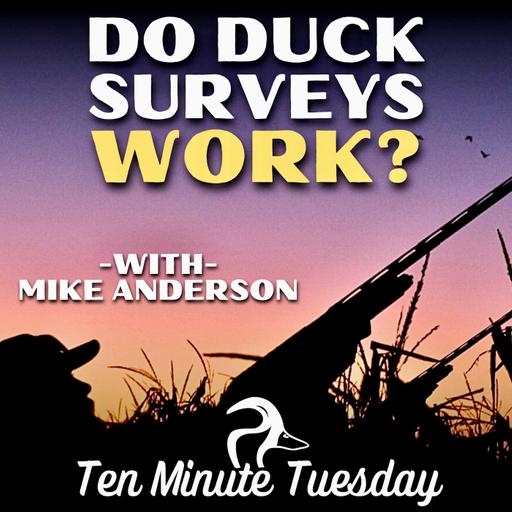 Hard Questions: Do Duck Surveys Work? with Mike Anderson