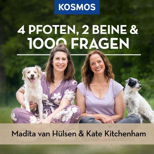 #88 - Körpersprachliche Kommunikation und Korrekturen im Hundetraining – wie geht das richtig?