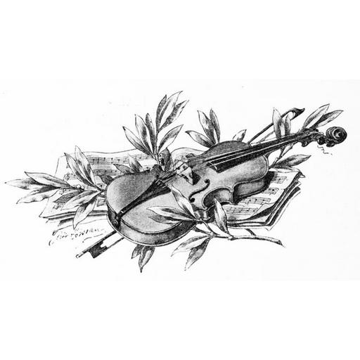 The violin in the colony