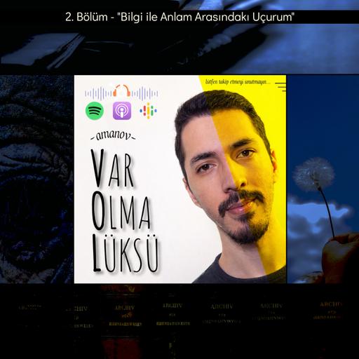 2) Bilgi ile Anlam Arasındakı Uçurum