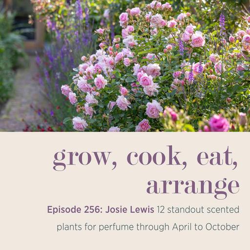 Josie Lewis: 12 standout scented plants for perfume through April to October - Episode 256