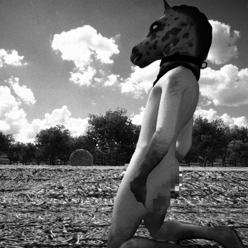 Runde #560: Der Tabubruch „Horses“ – Es ist zum Wiehern