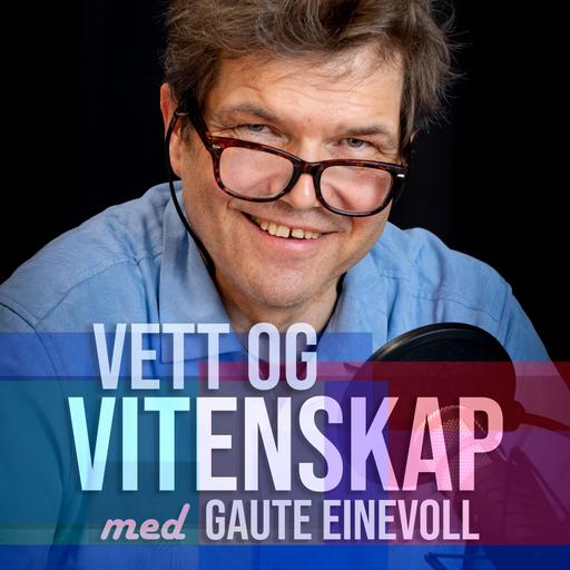 Om mitt liv som narkoman - med Knut Martin Folkestad - #112