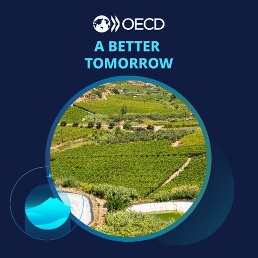 COGITO Talks… Lean on Me: Three pillars for rural prosperity