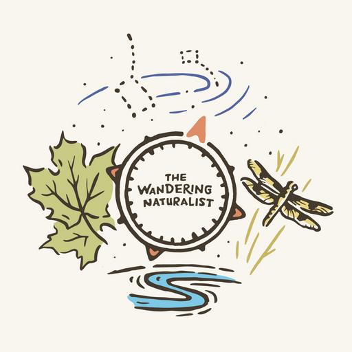 Episode 267: Big Year of Rivers - The Once and Future Mississippi