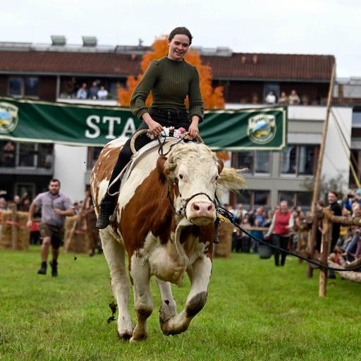Vom Nutzen des Nutzlosen - ein Feiertags-Feuilleton
