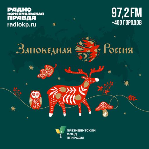 Летучая мышь нетопырь Куля – чего он боится