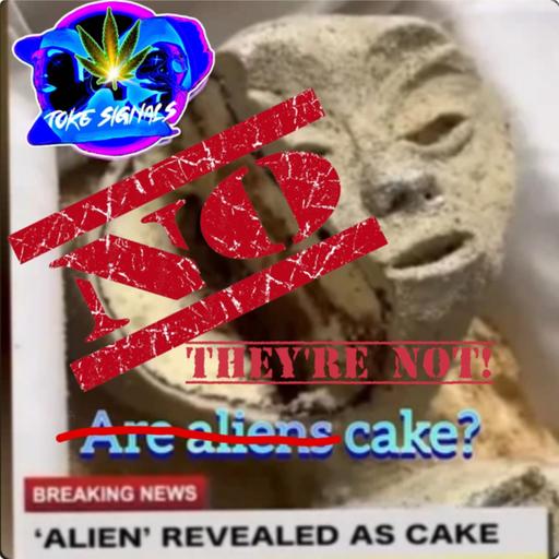 THEY'RE NOT CAKE!!