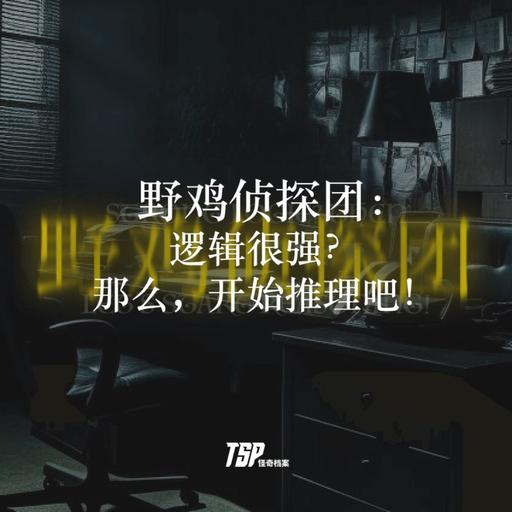 野鸡侦探团：逻辑很强？那么，开始推理吧！